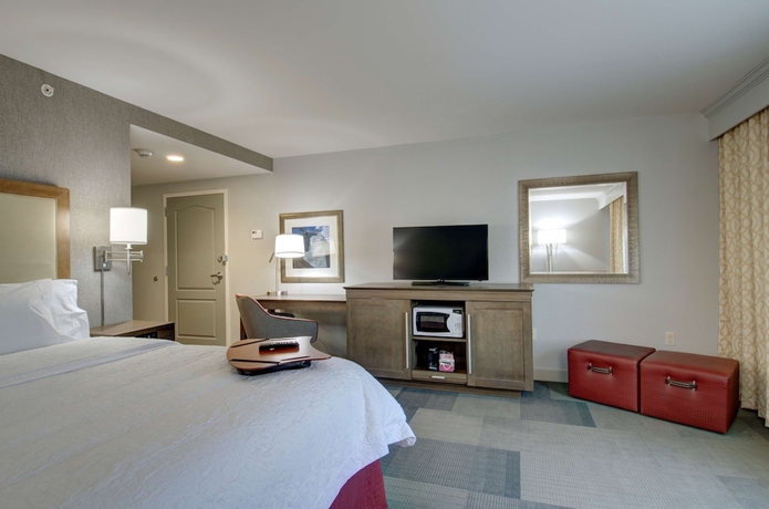 Imagen de la habitación del Hotel Hampton Inn and Suites Springfield/downtown, Ma. Foto 7