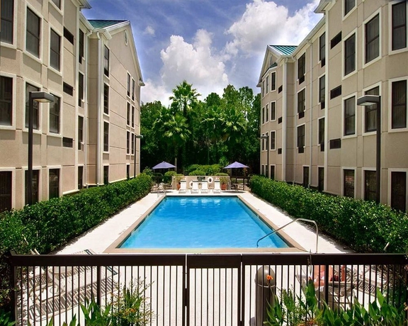 Imagen de la piscina del Hotel Hampton Inn and Suites Tampa-north. Foto 13