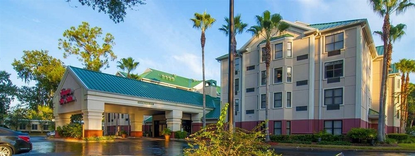 Imagen de los exteriores del Hotel Hampton Inn and Suites Tampa-north. Foto 6