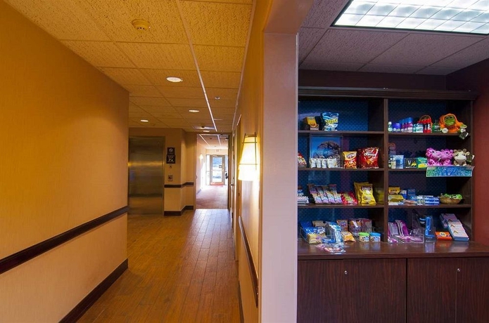 Imagen del bar/restaurante del Hotel Hampton Inn and Suites Tampa-north. Foto 2