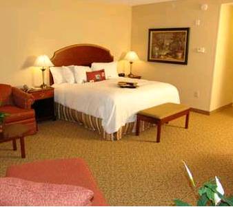 Imagen de la habitación del Hotel Hampton Inn and Suites Vicksburg. Foto 11
