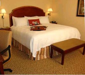 Imagen de la habitación del Hotel Hampton Inn and Suites Vicksburg. Foto 12