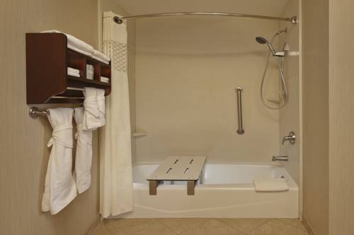 Imagen de la habitación del Hotel Hampton Inn and Suites Waco-south. Foto 11