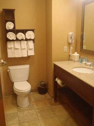 Imagen de la habitación del Hotel Hampton Inn and Suites Wiggins. Foto 14