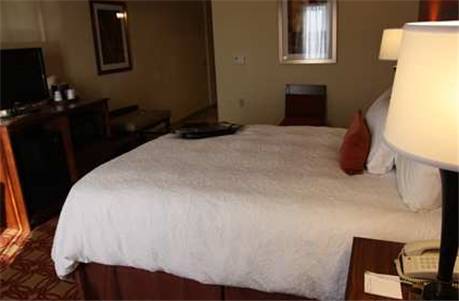 Imagen de la habitación del Hotel Hampton Inn and Suites Wiggins. Foto 15