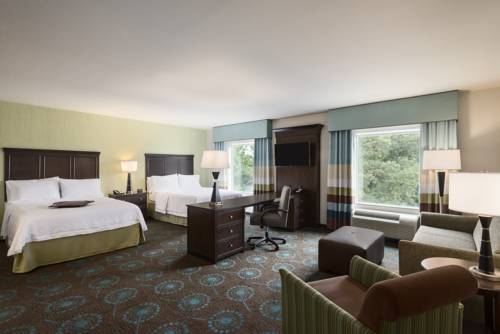 Imagen de la habitación del Hotel Hampton Inn and Suites Wilmington Christiana. Foto 6