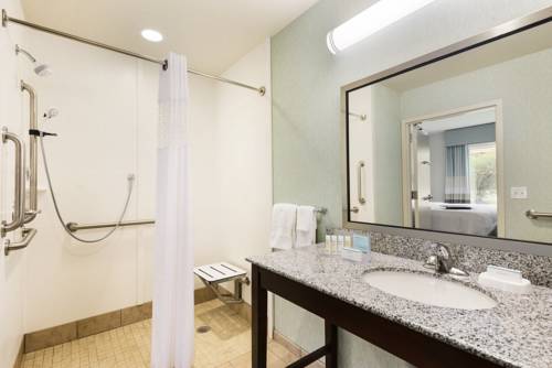 Imagen de la habitación del Hotel Hampton Inn and Suites Wilmington Christiana. Foto 10