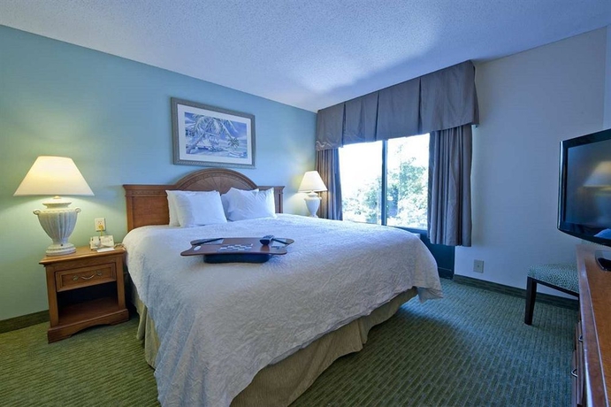 Imagen de la habitación del Hotel Hampton Inn and Suites Wilmington/wrightsville Beach. Foto 5