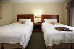 Imagen de la habitación del Hotel Hampton Inn and Suites Wilson I-95. Foto 5