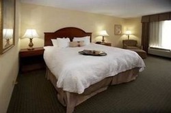 Imagen de la habitación del Hotel Hampton Inn and Suites Wilson I-95. Foto 7