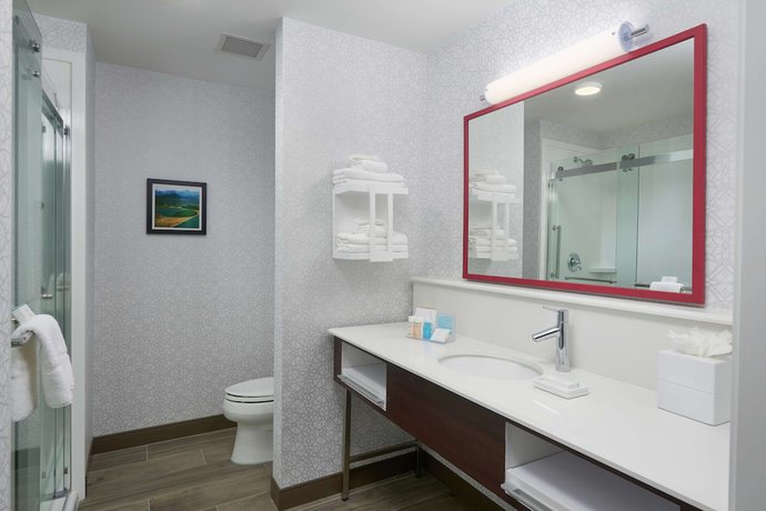Imagen de la habitación del Hotel Hampton Inn by Hilton Burley. Foto 17