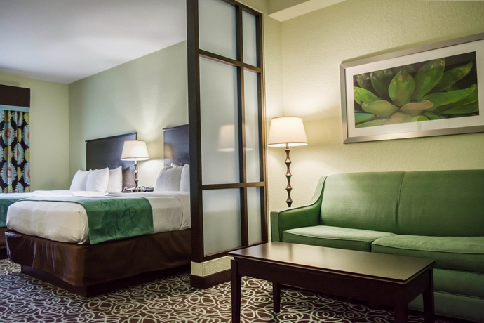 Imagen de la habitación del Hotel Hampton Inn by Hilton Tampa Fairgrounds Casino. Foto 5