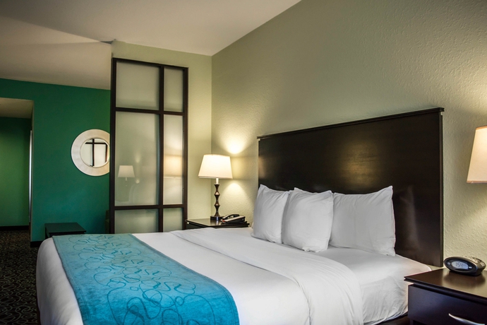 Imagen de la habitación del Hotel Hampton Inn by Hilton Tampa Fairgrounds Casino. Foto 7
