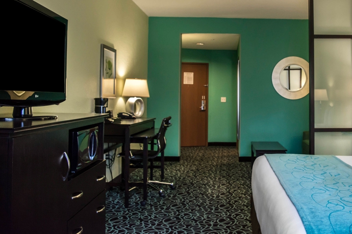 Imagen de la habitación del Hotel Hampton Inn by Hilton Tampa Fairgrounds Casino. Foto 8