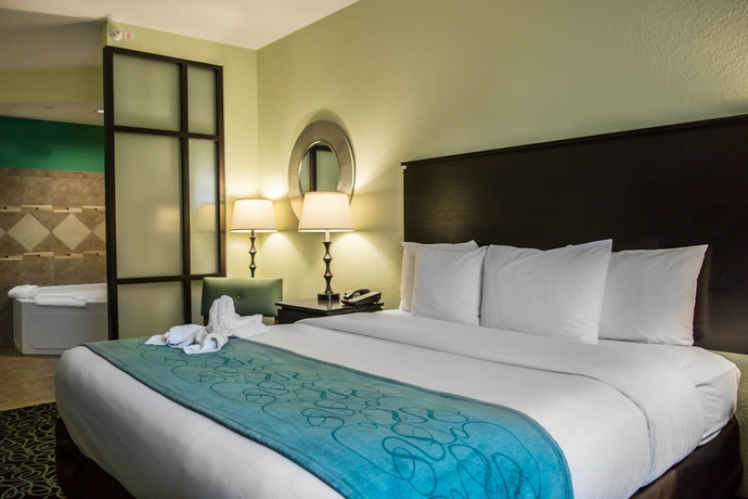 Imagen de la habitación del Hotel Hampton Inn by Hilton Tampa Fairgrounds Casino. Foto 9