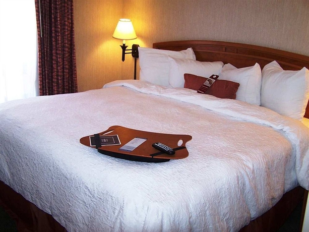 Imagen de la habitación del Hotel Hampton by Hilton Saltillo. Foto 1