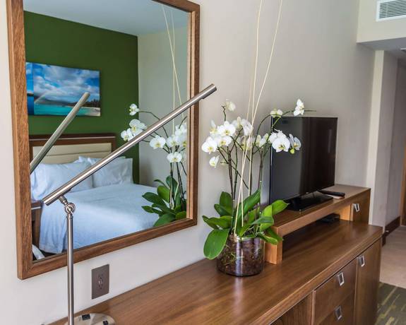 Imagen de la habitación del Hotel Hampton by Hilton Santo Domingo Airport. Foto 4