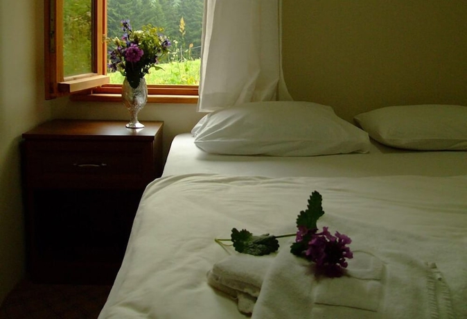 Imagen de la habitación del Hotel Hamsik&ouml;y Zitaş Bungalov and Restoran. Foto 3