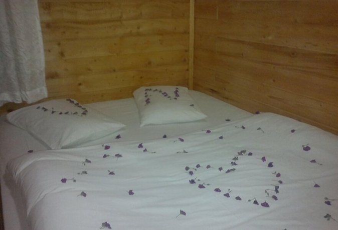 Imagen de la habitación del Hotel Hamsik&ouml;y Zitaş Bungalov and Restoran. Foto 6