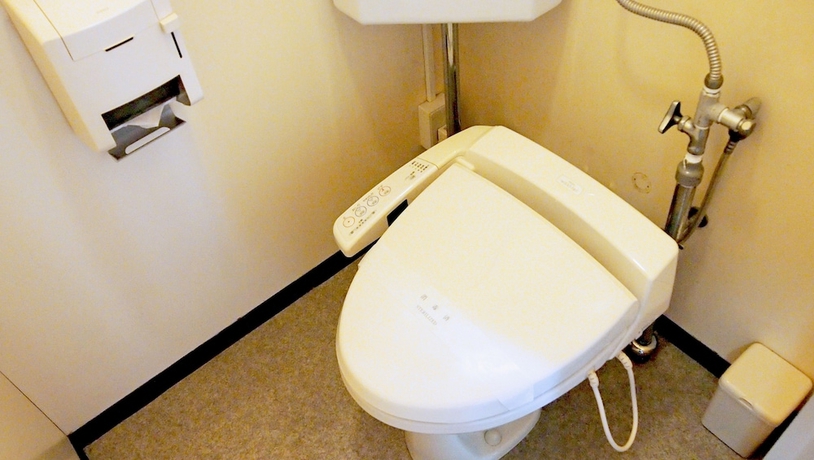 Imagen de la habitación del Hotel Hana Isawa. Foto 6