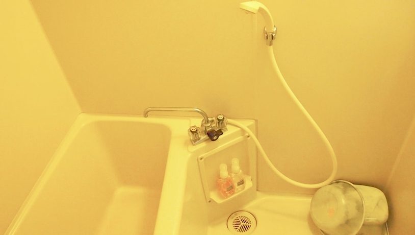 Imagen de la habitación del Hotel Hana Isawa. Foto 11
