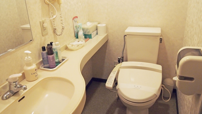 Imagen de la habitación del Hotel Hana Isawa. Foto 12
