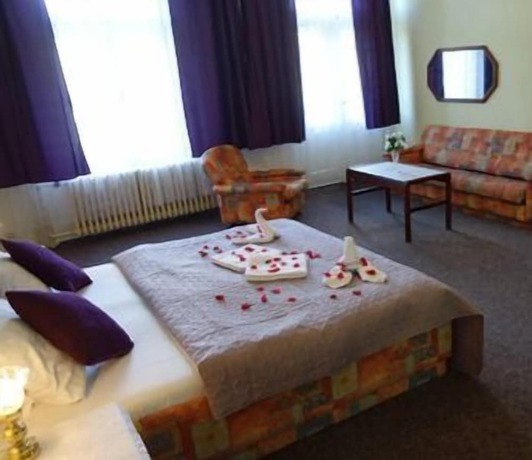 Imagen de la habitación del Hotel Hana, Marianske Lazne. Foto 11