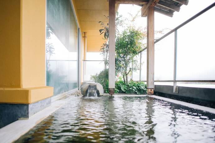 Imagen general del Hotel Hana To Hotaru Yu No Sato Yukiguni. Foto 12