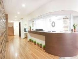 Imagen de los interiores del Hotel Hanabi. Foto 5