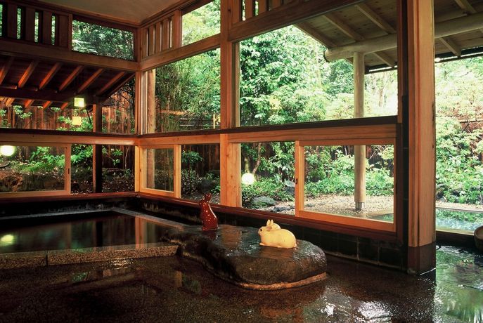 Imagen de la piscina del Hotel Hanafubuki. Foto 12