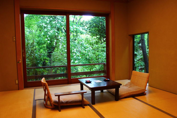 Imagen de la piscina del Hotel Hanafubuki. Foto 13