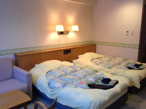 Imagen general del Hotel Hanakagura. Foto 5