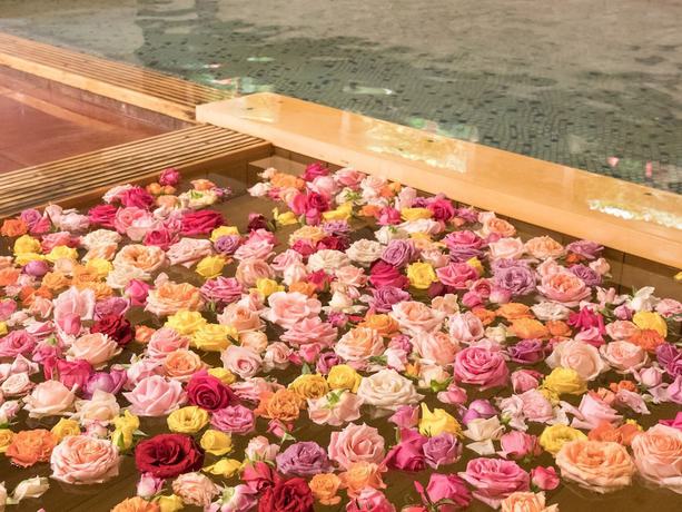 Imagen general del Hotel Hanamaki Onsen Senshukaku. Foto 5