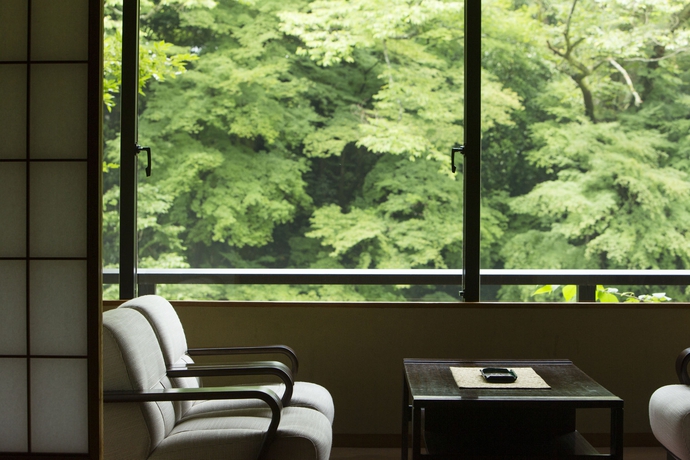 Imagen de la habitación del Hotel Hanamurasaki. Foto 5