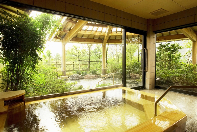 Imagen de la piscina del Hotel Hanamurasaki. Foto 14