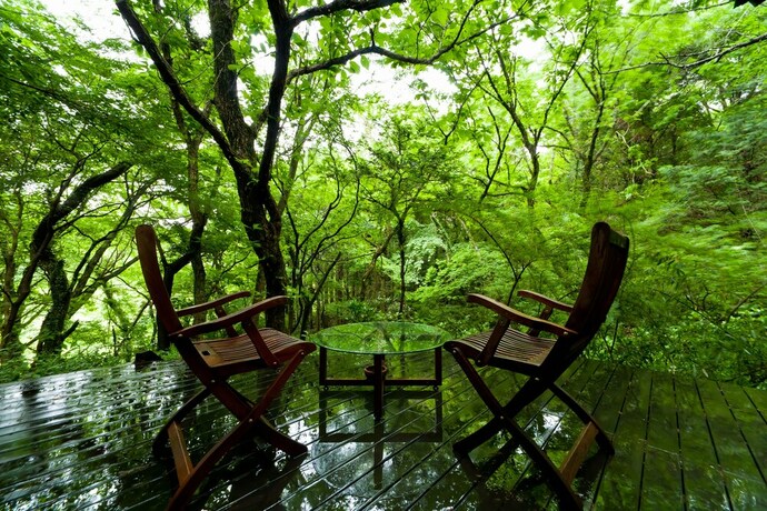 Imagen de los exteriores del Hotel Hanarenoyado Sennomori. Foto 32