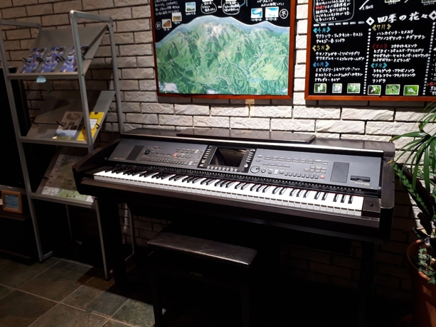 Imagen de los interiores del Hotel Hanasansui. Foto 16