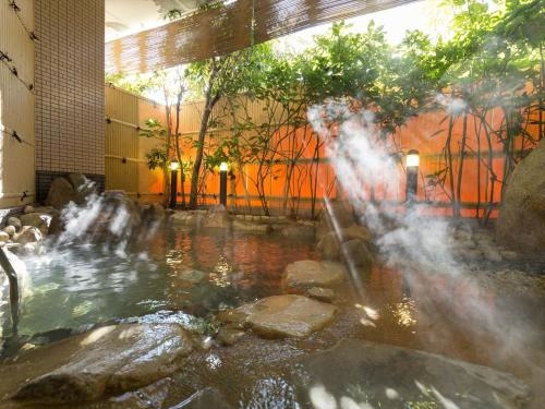 Imagen general del Hotel Hanasarasa. Foto 2