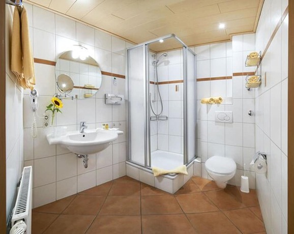 Imagen de la habitación del Hotel Hanauerhof. Foto 18