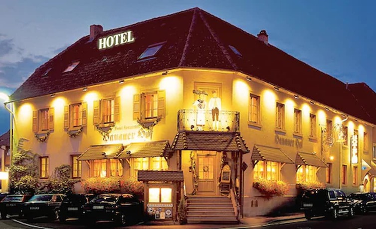 Imagen general del Hotel Hanauerhof. Foto 3