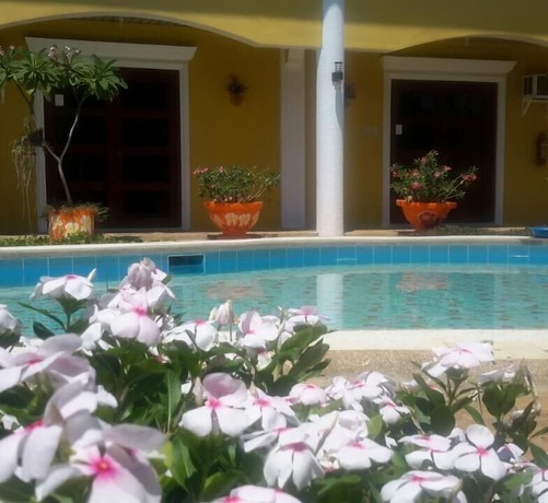 Imagen general del Hotel Hanbee\'s Flower Garden Resort. Foto 9