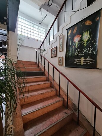 Imagen general del Hotel Hand. Foto 9