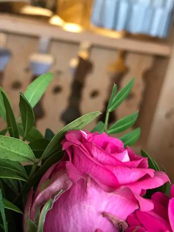 Imagen general del Hotel HandS Wildpferd. Foto 2