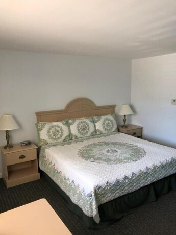 Imagen de la habitación del Hotel Handkerchief Shoals Inn. Foto 21