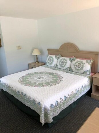 Imagen de la habitación del Hotel Handkerchief Shoals Inn. Foto 22