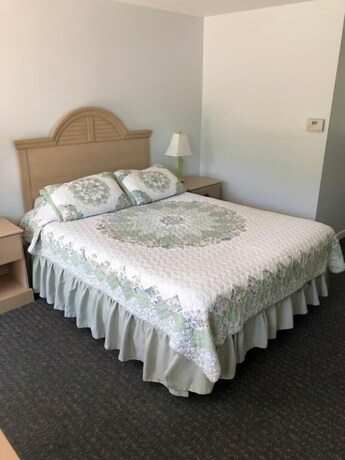 Imagen de la habitación del Hotel Handkerchief Shoals Inn. Foto 24