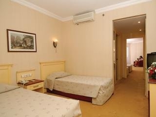 Imagen de la habitación del Hotel Hane Family Resort. Foto 5