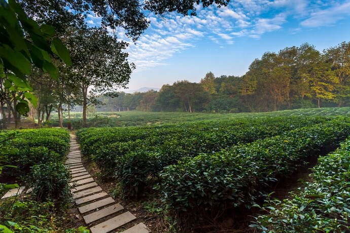 Imagen de los interiores del Hotel Hangzhou Shusheng Resort. Foto 13