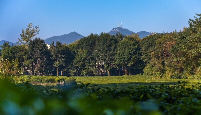 Imagen de los interiores del Hotel Hangzhou Shusheng Resort. Foto 16