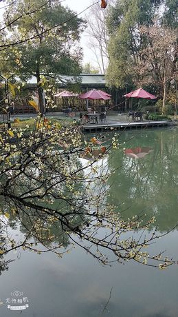 Imagen general del Hotel Hangzhou Xixi Bieyuan Resort. Foto 4